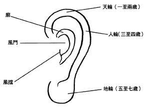 耳運年齡|耳朵面相算命圖解大全